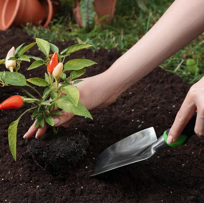 Garden Tool Set, Shovel, Rake, Hoe, Father's Day Gift, GoGarden