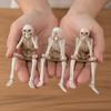 Spooky Atmosphere Halloween Skull Figurines Resin Material Skeleton Decoration  Home Decor