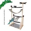 Interactive Large Bird Gym Natural Wood Construction Grinding Scratchers Mental Stimulation Activity Stand