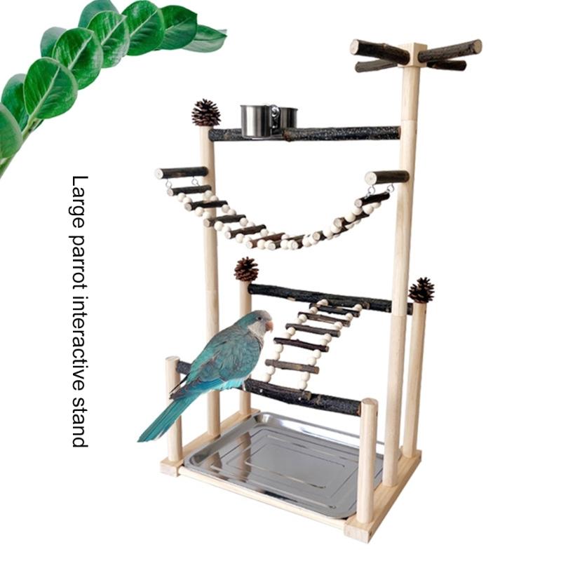Interactive Large Bird Gym Natural Wood Construction Grinding Scratchers Mental Stimulation Activity Stand