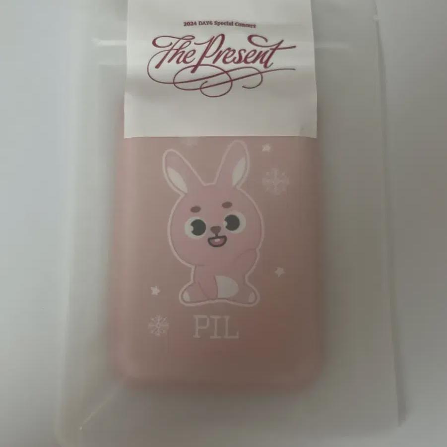 

Day6 2024 Klcon Md Магнитный кошелек для карт Phill