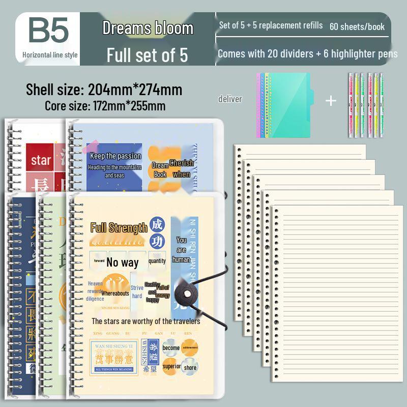 B5 Detachable Coil Ring Binder Thickened Notebook - High Aesthetic Ins Style