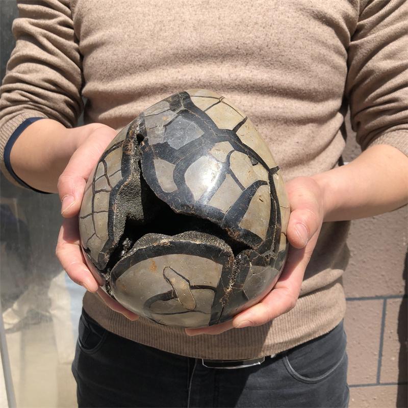 4.3kg Natural curvature of the furnishing articles Turtle grain stone egg Ball Septarian nodule Crystal Healing quartz