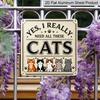 2D Flat - 1pc, Vintage Metal Aluminum Decorative Sign, Humorous Slogan for Cat Lovers, Retro Wall Decor, Home Decoration Suitable for Porches
