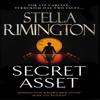 Secret Asset by Stella Rimington Paperback Book 9780099472599