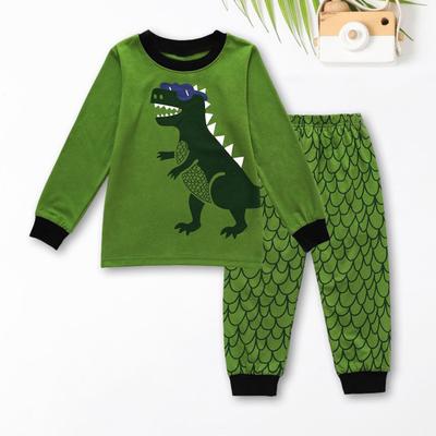 Kids Dinosaur Pajamas Set 2 Piece Pajamas Outfits Kids Cartoon Print Nightwear