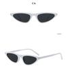 Ladies glasses, small frame triangle fashion sunglasses, metal hinges