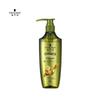 Schwarzkopf Ginger Essence Oil Control Shampoo