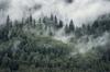 Photomural Forest In The Morning Mist Structural Vinyl 405x270