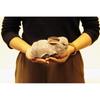 Yoshitoku Riku no Nakama-tachi Gray Rabbit Plush Toy 180498
