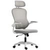 Ergonomic Office Chair, Mesh Backrest, Height Adjustable, Foldable Armrests, 5 Casters, Grey