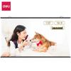 Deli 120-inch 16:9 Wall-Mounted Projector Screen