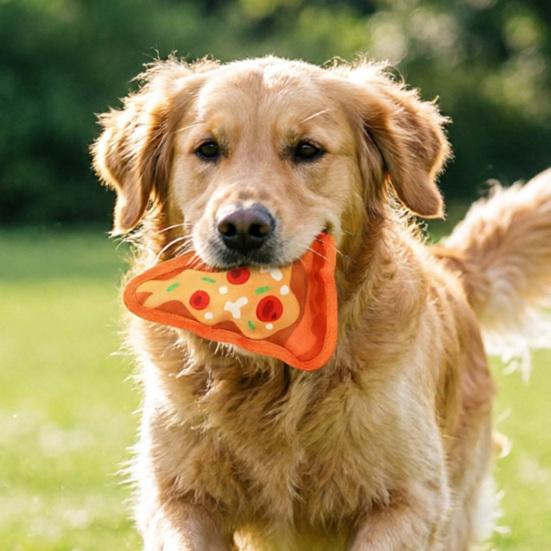 Interactive Pet Toys Thickened Oxford Cloth Bite Resistant Squeaky Dog Chew Toys with Sound Food Shapes Burger Pizza Popcorn for Teeth Cleaning Play