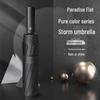 Paradise Automatic 10-Rib Windproof UV Protection Travel Umbrella