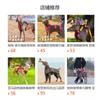 Large Dog Winter Jacket Waterproof Warm Coat Outdoor Walking Running Nylon Pet Apparel Blue Red Gray
