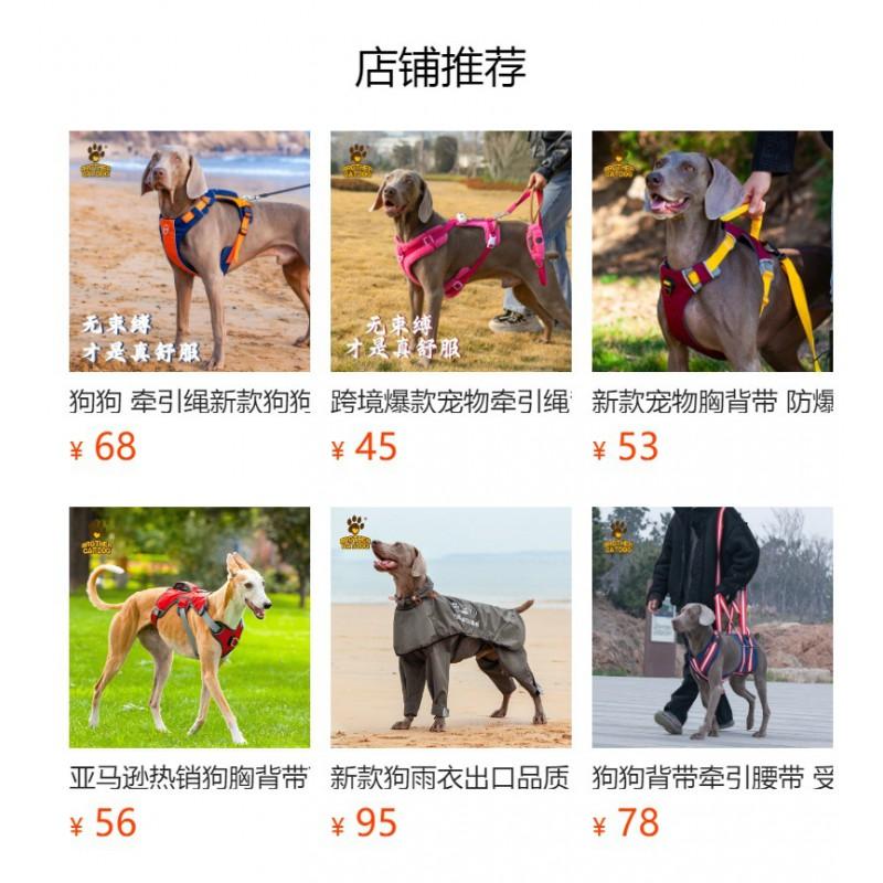 Large Dog Winter Jacket Waterproof Warm Coat Outdoor Walking Running Nylon Pet Apparel Blue Red Gray