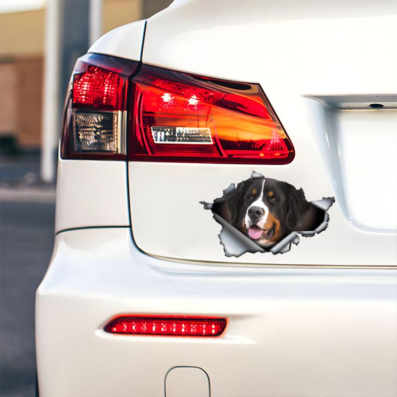 Bernese Mountain Dog Car Bumper Window Stickers For Car Truck Van Fashion Decals Vinyl Material Stickers