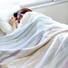 Imabari Towel Certified Gauze Towel Blanket, hiorie, Single, Natural, Made in Japan, Border Pattern, Imabari Brand, 100% Cotton, Bedding