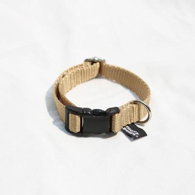 Gold Basic Leash