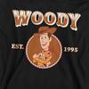 Toy Story Childrens/Kids 1995 Woody Cowboy Heather Hoodie