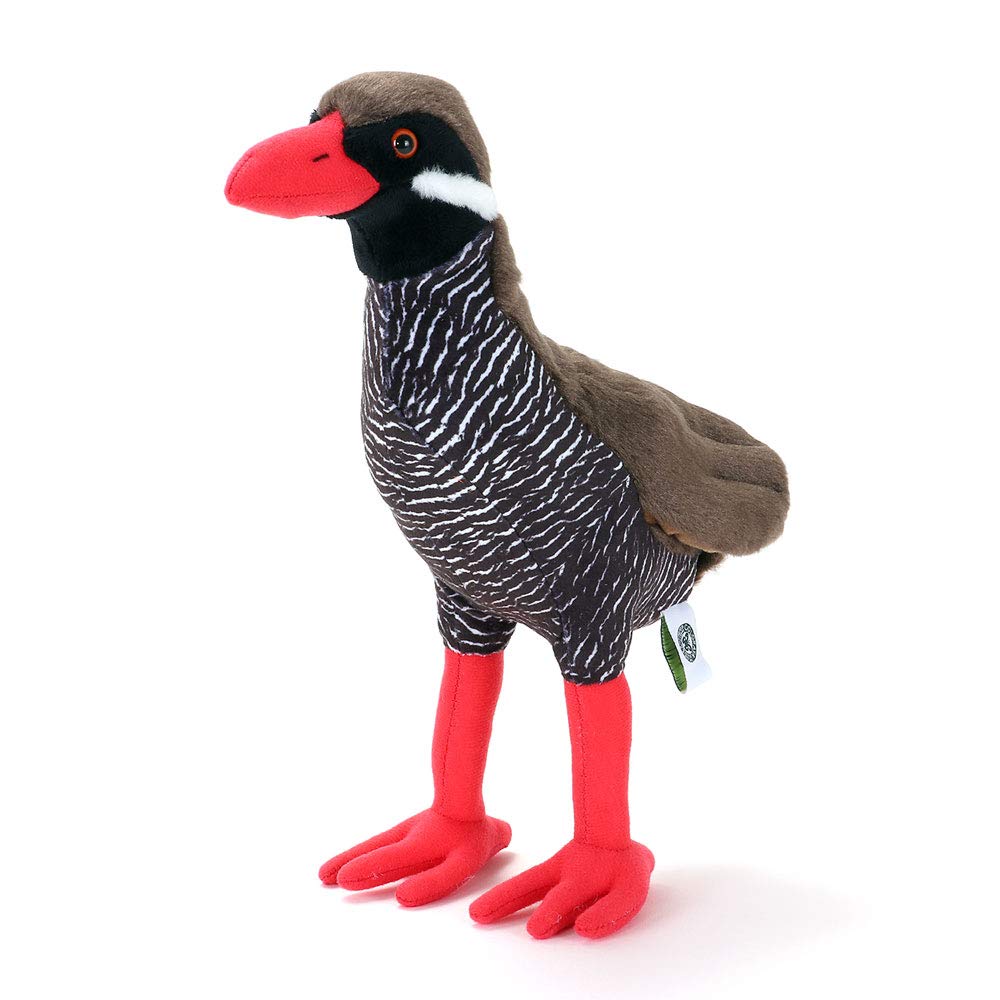 

Carolata Okinawa Rail Plush Toy (ParentYanbaru CreatureSoft to the Touch) Realistic Bird Toy Doll Gift Present Birthday (Twice Meter Read) Christmas