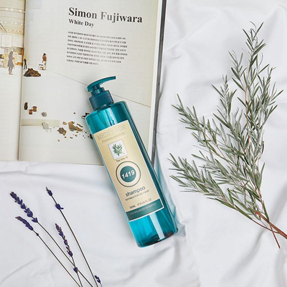 Meditin 1419 Shampoo + Miracle Protein Hair Treatment, 1 set