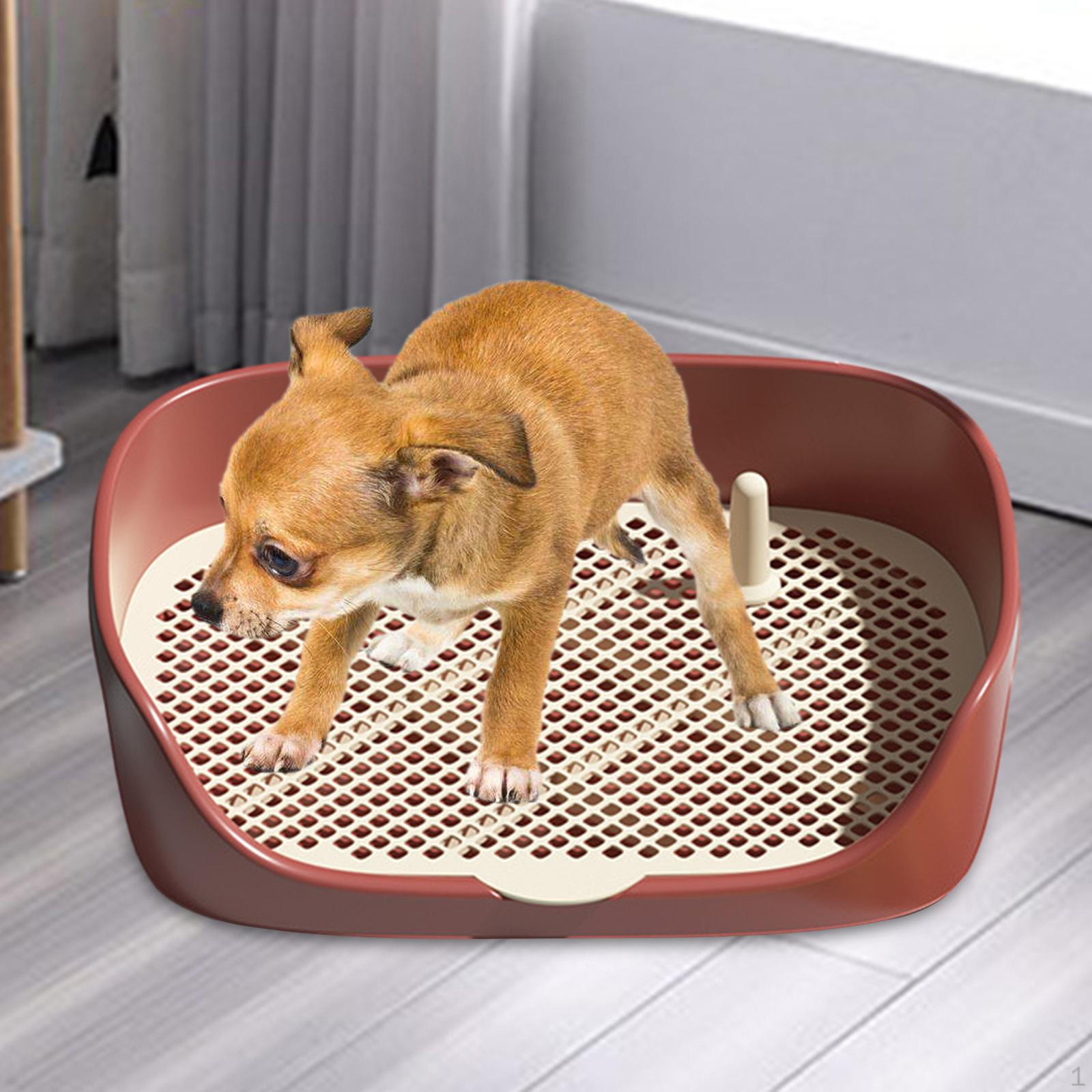 

Dog Tray with Wall for Cats And Red S