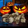 20pcs Mini Realistic Skull Crafts Halloween Garden Decoration Bonsai Courtyard Ornaments Small Skeleton Heads for Flowerpots