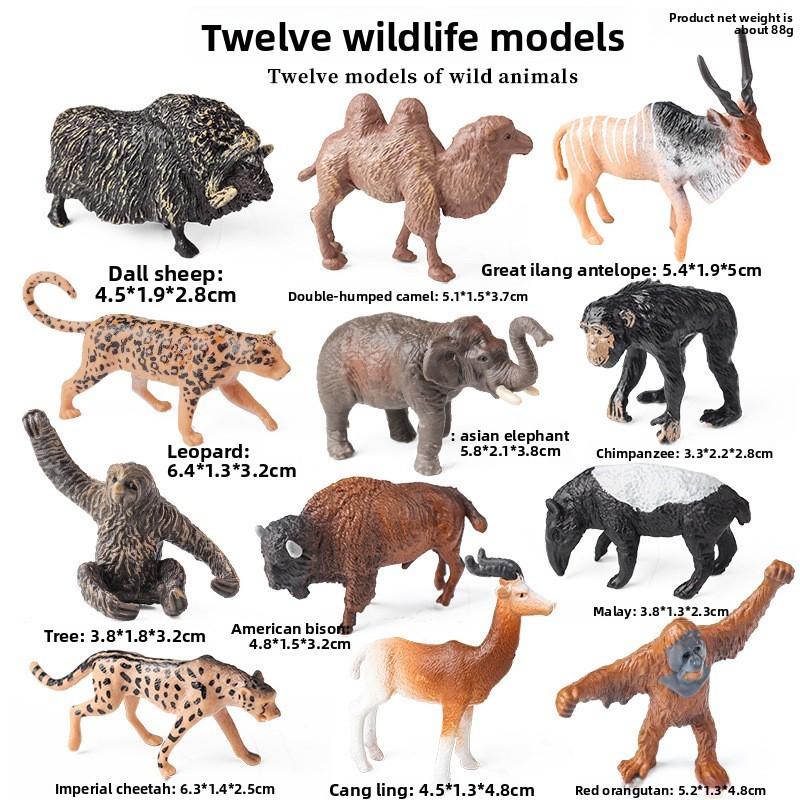Mini Wild Animal Model Set With Plastic Figures For Educational Display And Collection