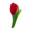 Bright Color Crossing Teeth Big Hair Clip Acetic Acid Tulip Sunflower Shape Bath Hairpin Styling Tool