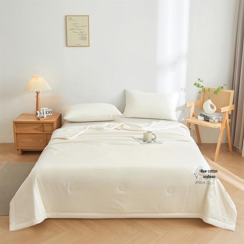 Brangdy Thin Summer Cooling Duvet Insert, Machine Washable