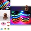 Brightly Colored Led Dog Collar Rechargeable Light-up Neckband For All Size Dogs