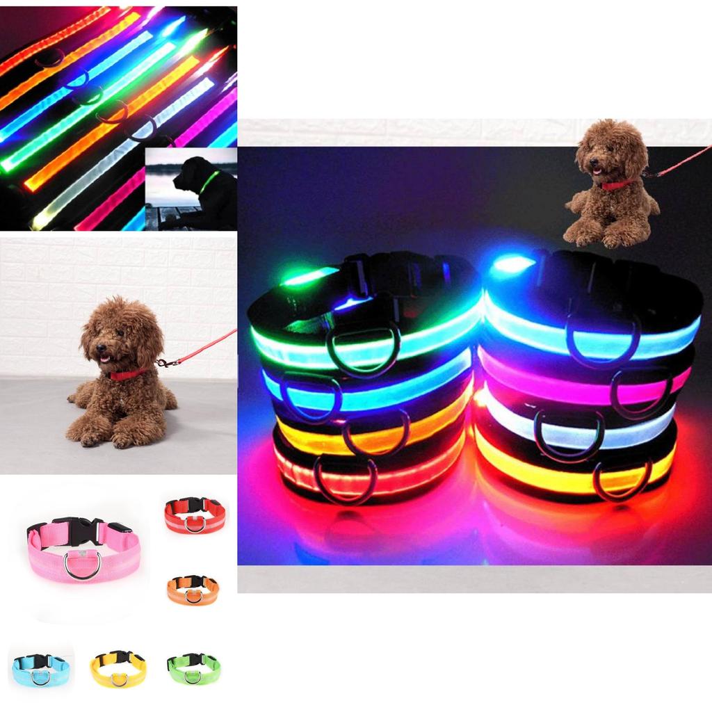 Brightly Colored Led Dog Collar Rechargeable Light-up Neckband For All Size Dogs