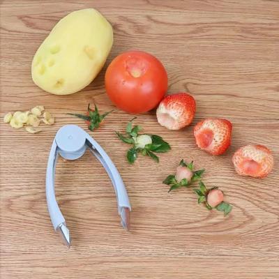 Utensili per frutta e verdura – Snocciolatori