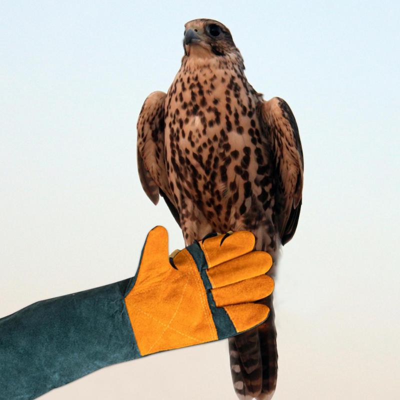 Animal Handling Gloves Multipurpose Pet Glove For Grooming Puncture And Scratch Resistant Dog Bite Sleeve Pet Trapping Supplies