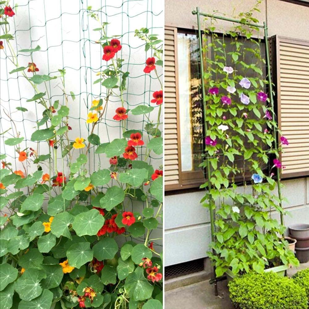 Trellis Netting 5x30ft Planting Climbing Net Multi Use Plant Support Vine Climbing Hydroponics Garden Net for Garden