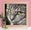 Diamantbroderi 5D Cat DIY Diamantkunstmaleri Animal Mosaic Home Decoration