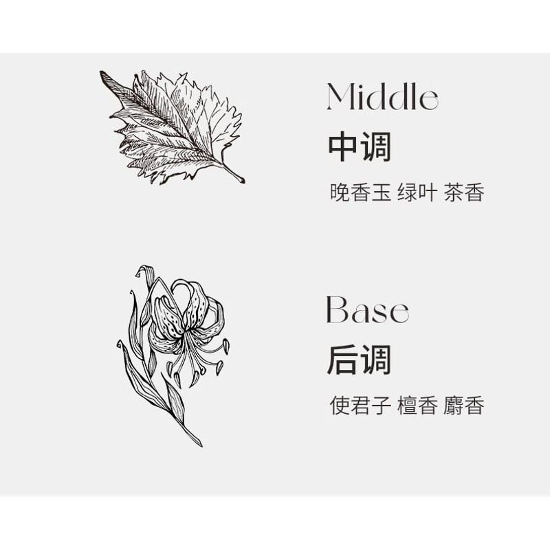 NOVO - Eau De Toilette Perfume - 3 Types