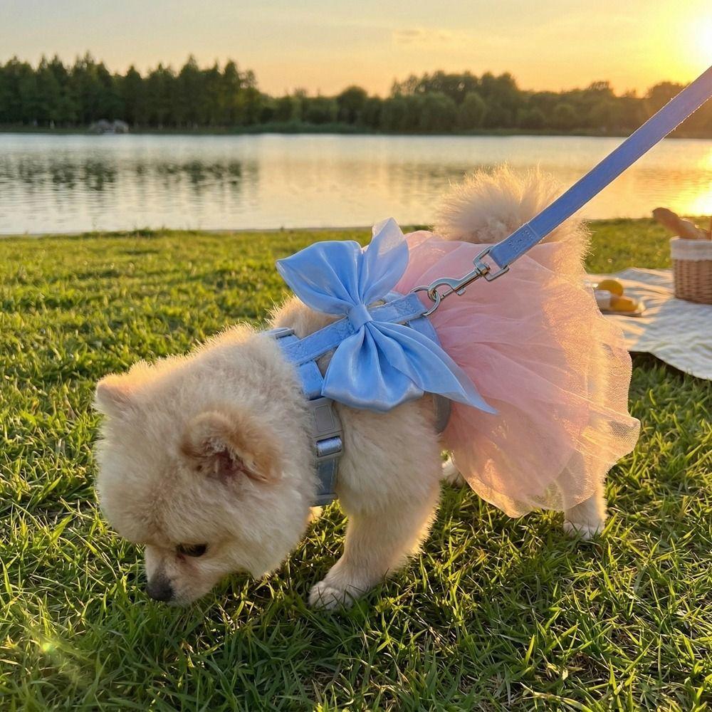 Escape-Proof Dog Chest Strap Cute Bow Dog Vest Harness Pet Walking Rope Outdoor Walking