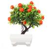 Orangenbaum Durchmesser 22cm Leicht zu reinigen Höhe 26cm Ungiftig Brandneu