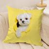 Cute Naughty Cats Dogs Cushion Cover Soft Plush DoubleSided Printed Sofa Pillow Cushion Cover  AllSeason Durable Decor Gift