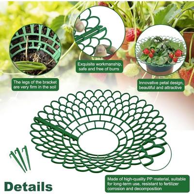 Strawberry Support Farming Supplies Mini Greenhouse Accessories Vegetable Garden Items Plant Protector Greenhouse for Plants