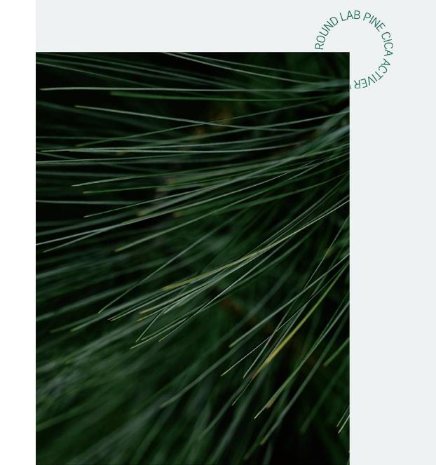 ROUND LAB Pine Cica Calming Scalp Shampoo 400ml