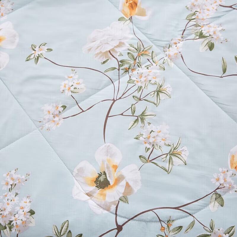 Nanjiren Blended Fiber Summer Quilt