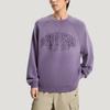Adidas Originals FW25 Crew Sweat Loose Fit Round Neck Pullover Long Sleeve Sweatshirt Men Sweatshirt KR5048