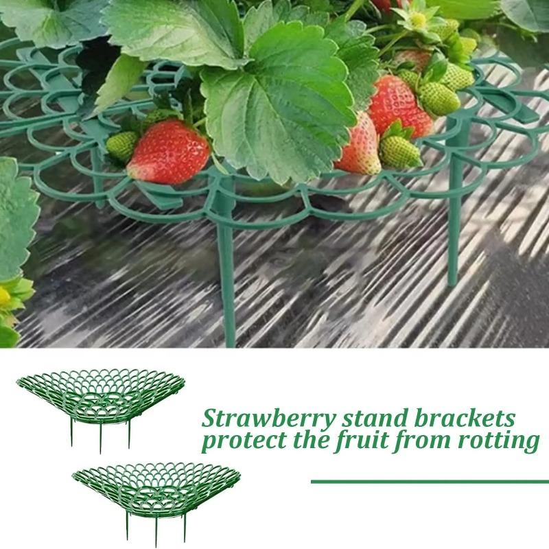 1/5/10/20 Stück Erdbeerpflanzenstützen mit drei stabilen Beinen bieten Schutz für Erdbeeren vor Schimmel, Fäulnis und Schmutz