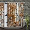 Berkenbomen Boslandschap Douchegordijn Waterdichte Stof Badkamer Gordijnen Natuurlijk Landschap Bad Scherm Met 12 Haken