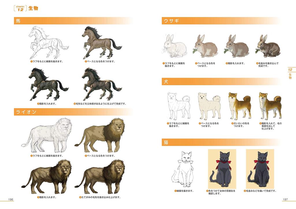 Background illustration idea book