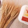 50pcs Rustic Dried Wheat Stalks Natural Dried Flowers Dry Wheat Spikes  Home Kitchen Decoration