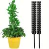Coconut Fiber Moss Pole for Plant Support & Shaping